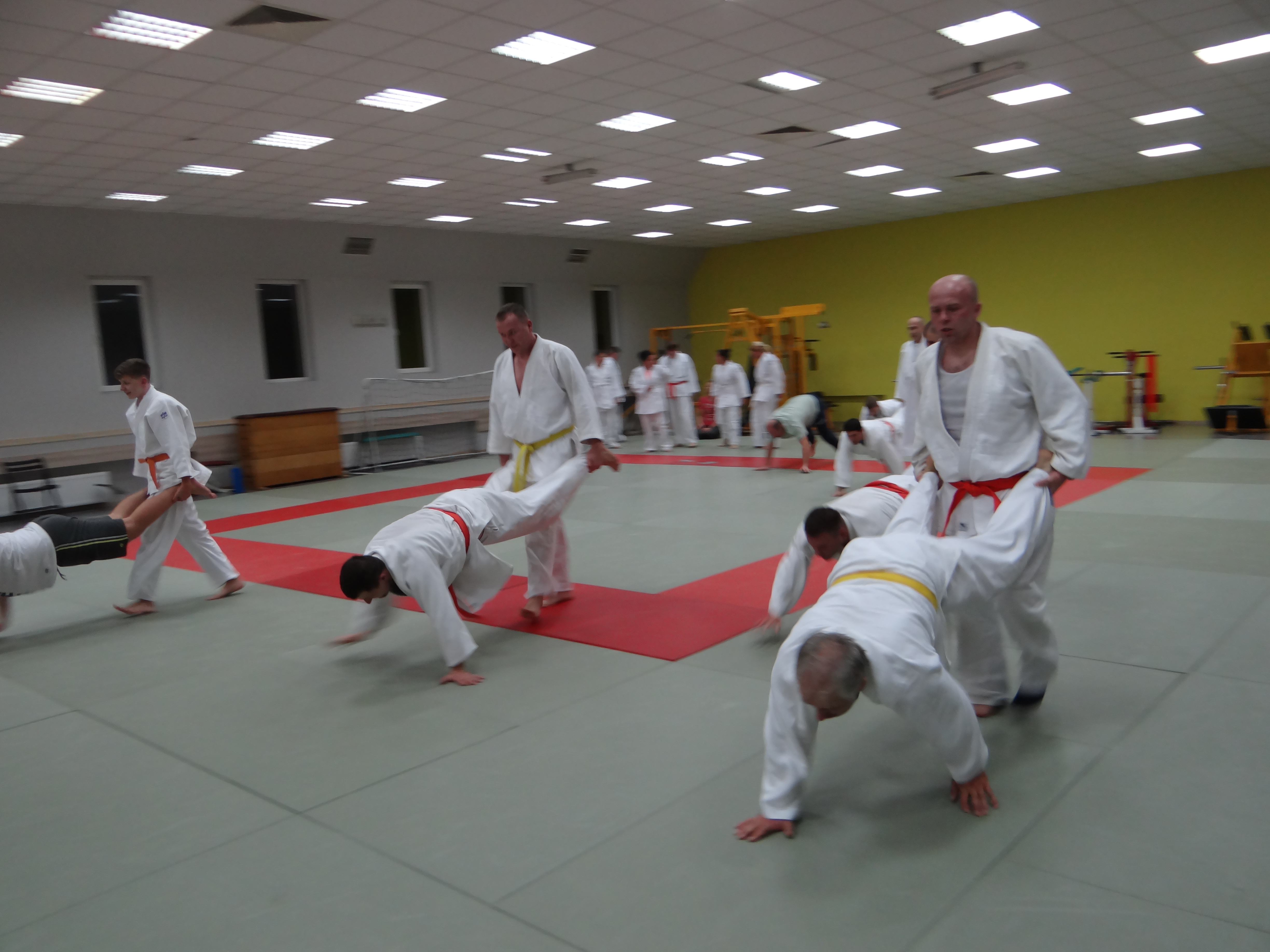 judo dla dorosłych